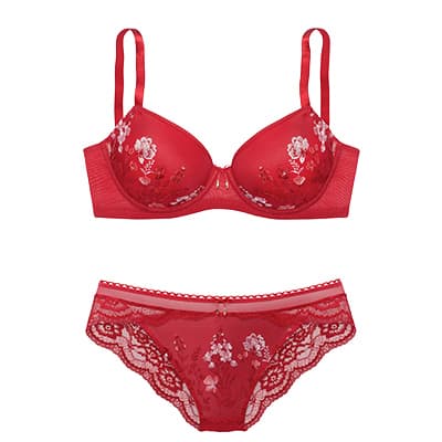 Rotes BH- und Slip-Set mit zarter Spitze und floralen Verzierungen, frontal vor weißem Hintergrund gezeigt